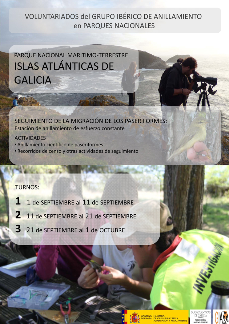 Voluntariado ambiental en las Islas Atlánticas de Galicia, con GIA