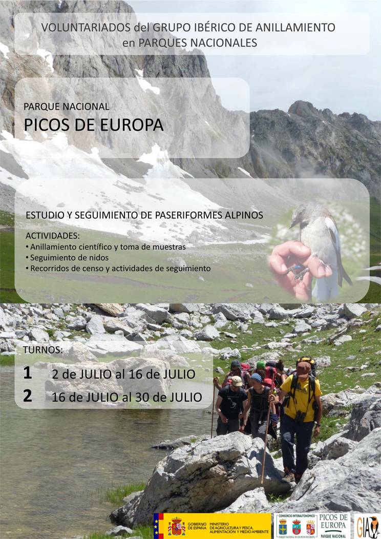 Voluntariado ambiental en los Picos de Europa 1, con GIA