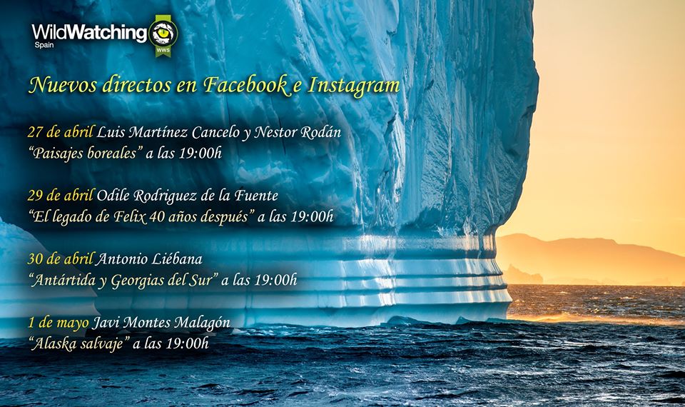 Videoconferencias de WidlWatching Spain. Videoconferencias de WildWatching Spain