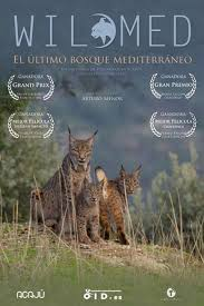 Documental 'Wilmed: El último bosque mediterráneo'.