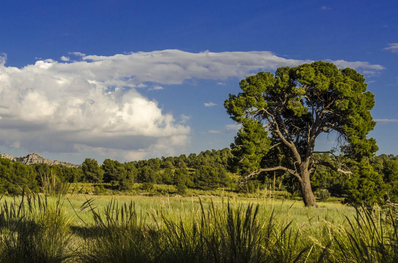 Uno de los paisajes que se verán en la ruta. Imagen: Stipa