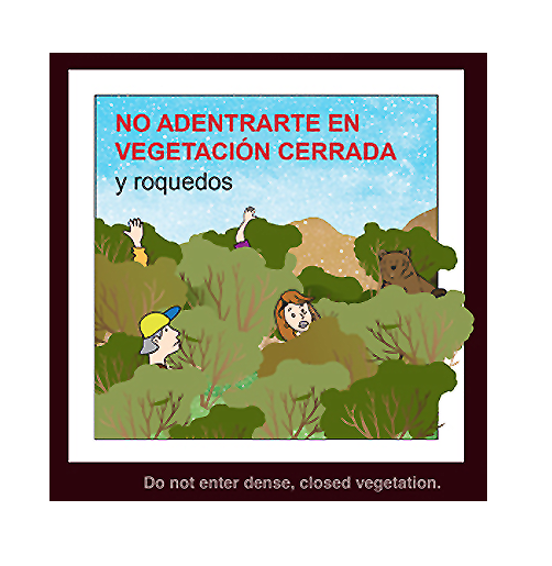 "No adentrarte en la vegetación cerrada" (Recomendación 1 de FOP)