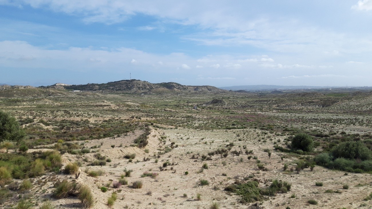 Parte de los terrenos de Ajauque adquiridos por la Comunidad Autónoma. Foto: CARM