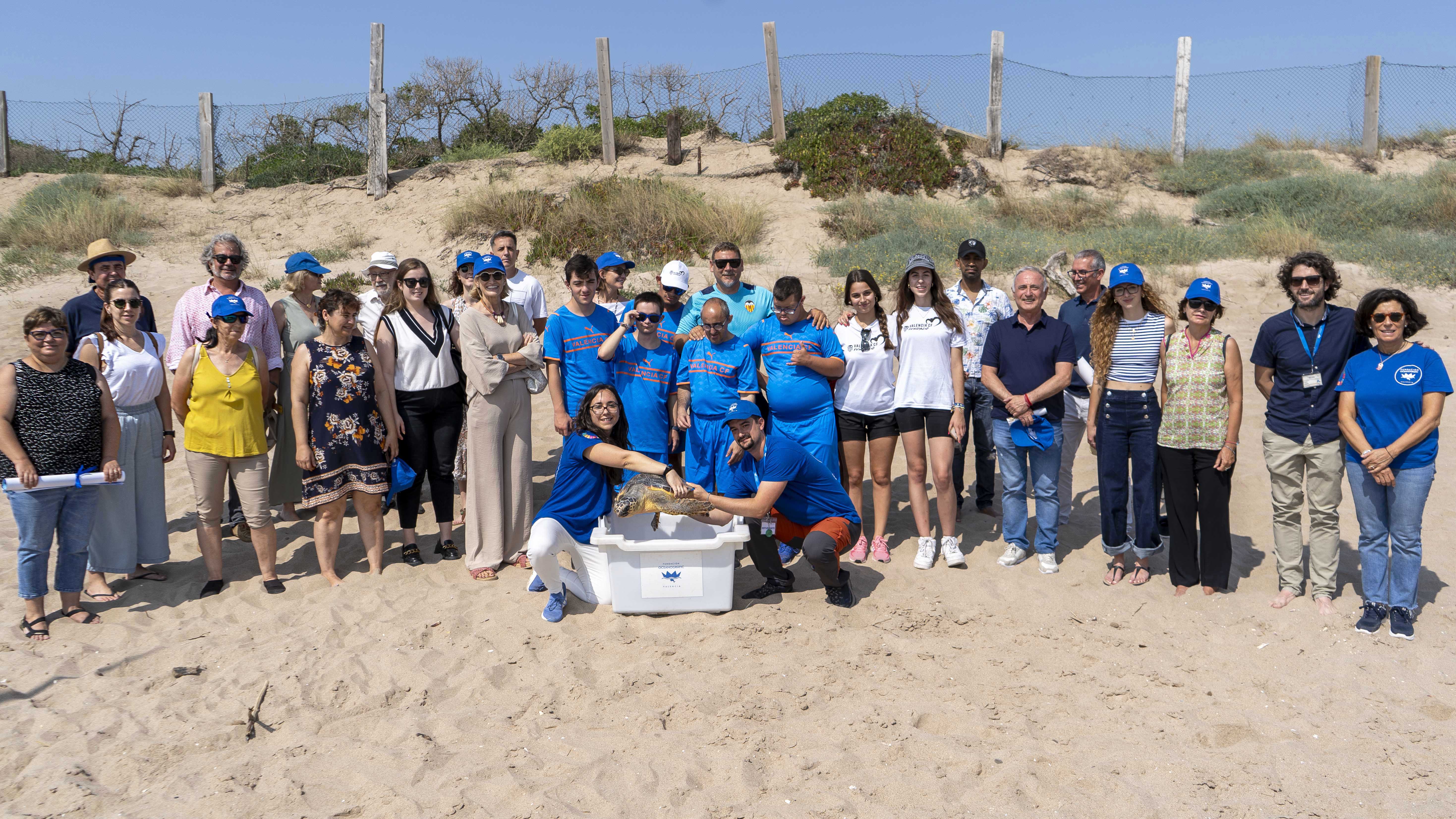 Liberación de la tortuga 'Mestalla'. Foto: Fundación Oceanogràfic