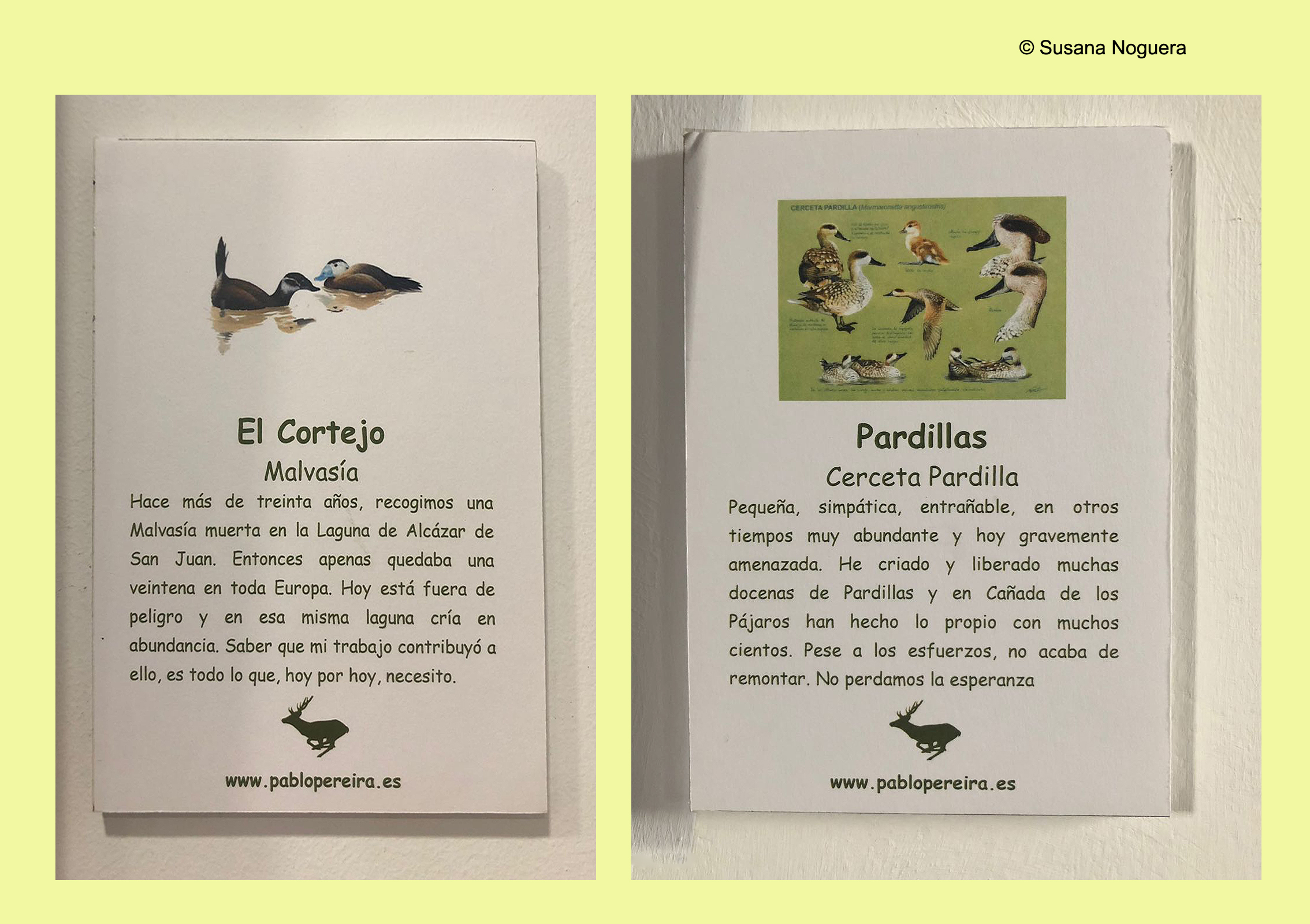 Dos carteles, con su texto explicativo, en la expo de la EOT. Imagen: Susana Noguera