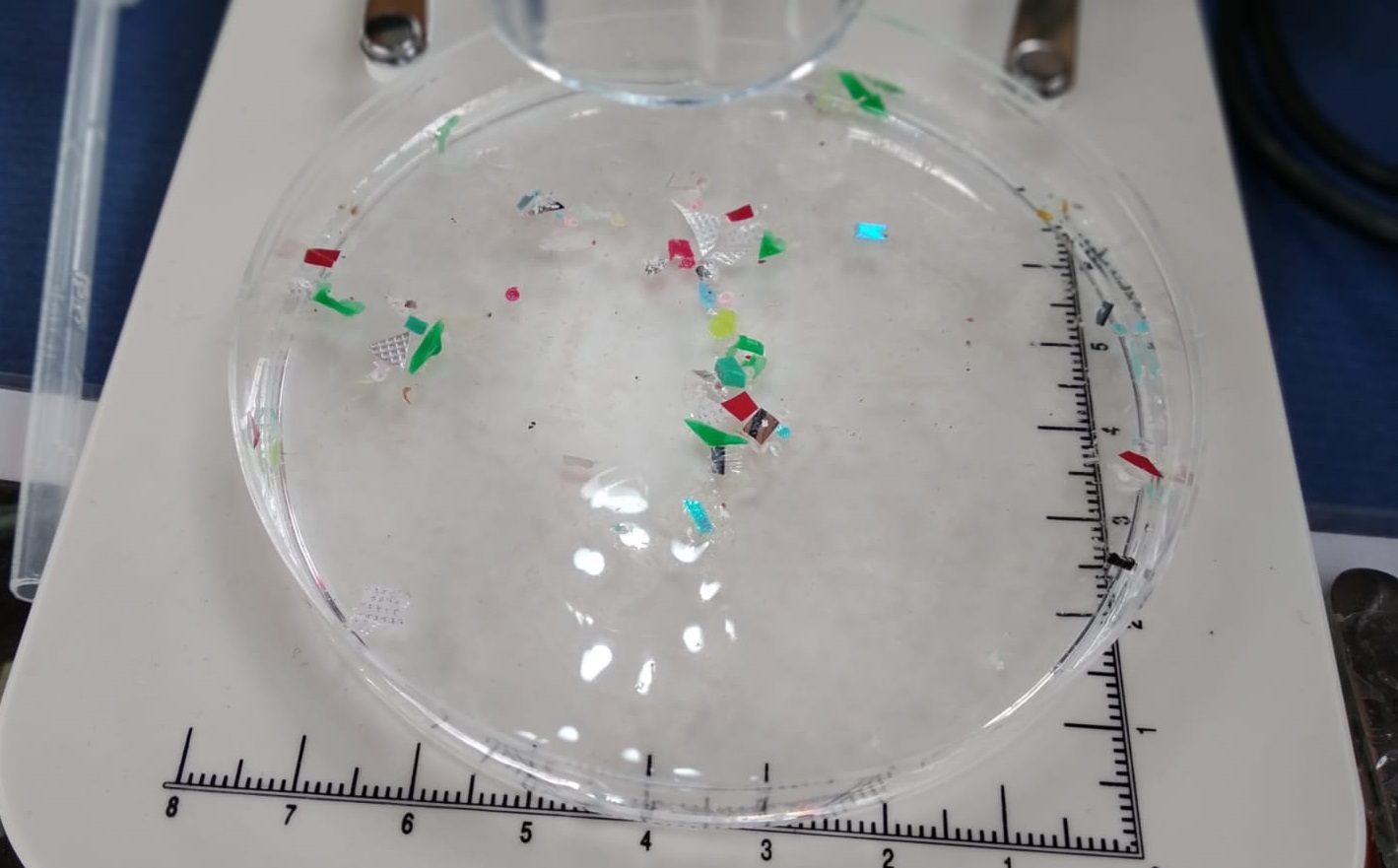 Fragmentos de plástico recogidos durante un muestreo. Imagen: IEO