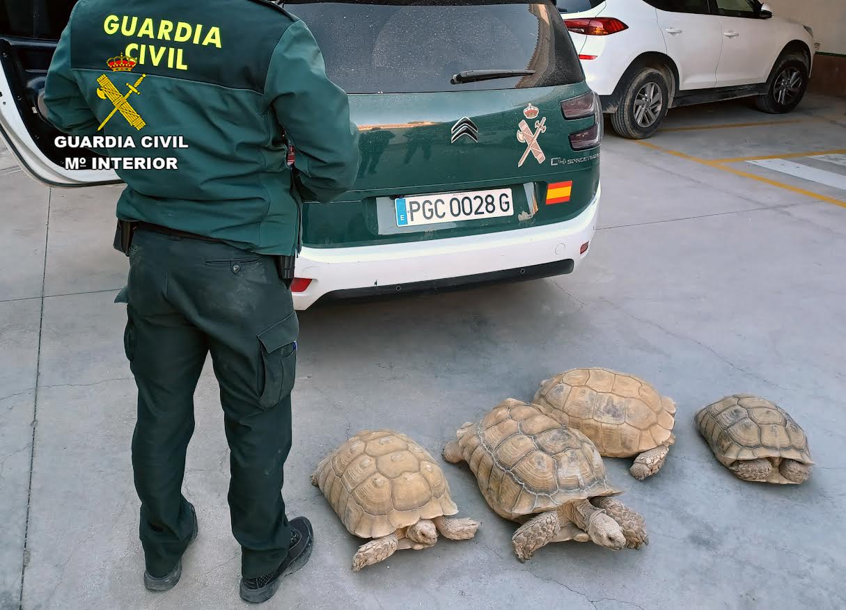 Foto: Guardia Civil de Murcia