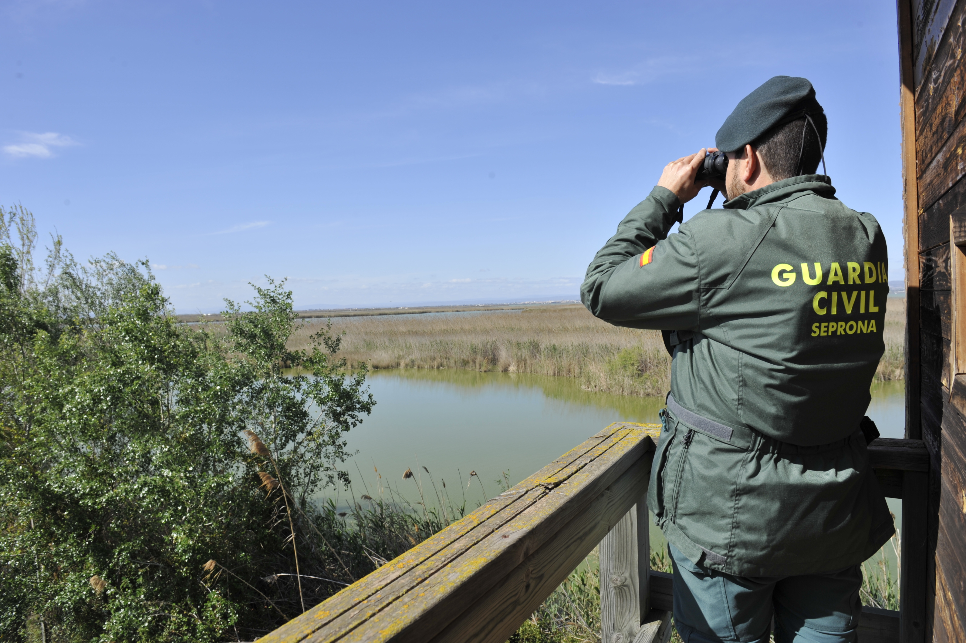 La Guardia Civil exhibe este año una tasa de esclarecimiento de más del 80% en delitos contra los recursos naturales y el medioambientes. Foto: Guardia Civil