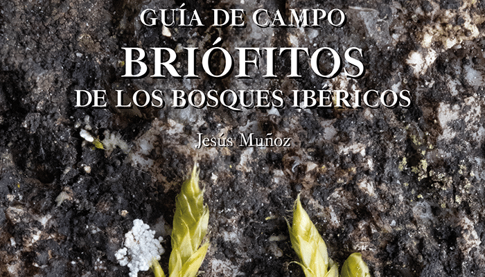 Portada de la  'Guía de campo: briófitos de los bosques ibéricos'. Foto: CSIC