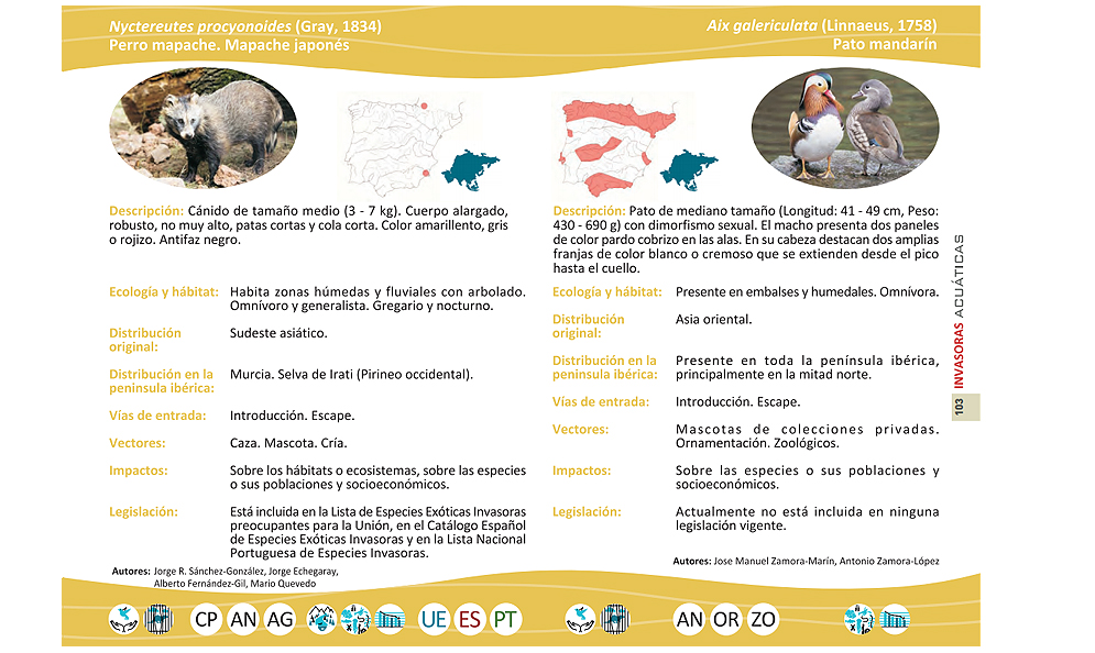 Una página con dos EEI del libro '¡Cuidado, invasoras acuáticas! Guía de las especies exóticas e invasoras de los ríos, lagos y estuarios de la península Ibérica'. Imagen: Life Invasaqua