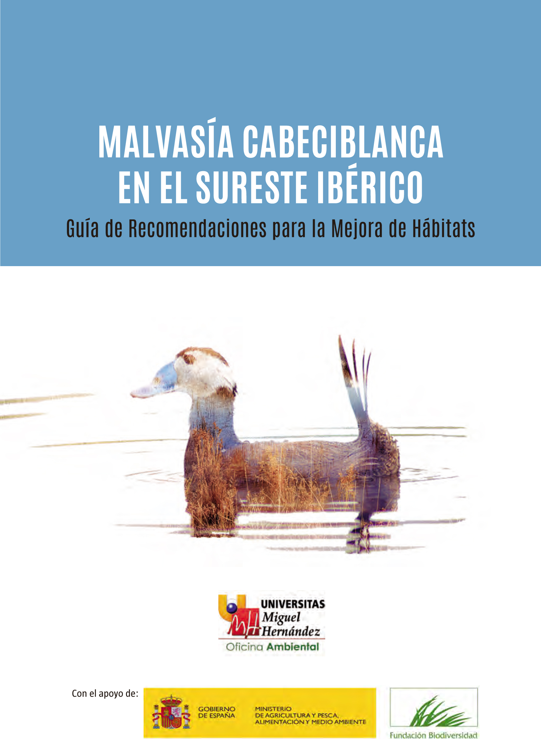 Portada de la Guía de Recomendaciones para la Mejora de Hábitats de la Malvasía Cabeciblanca en el Sureste Ibérico, de la UMH