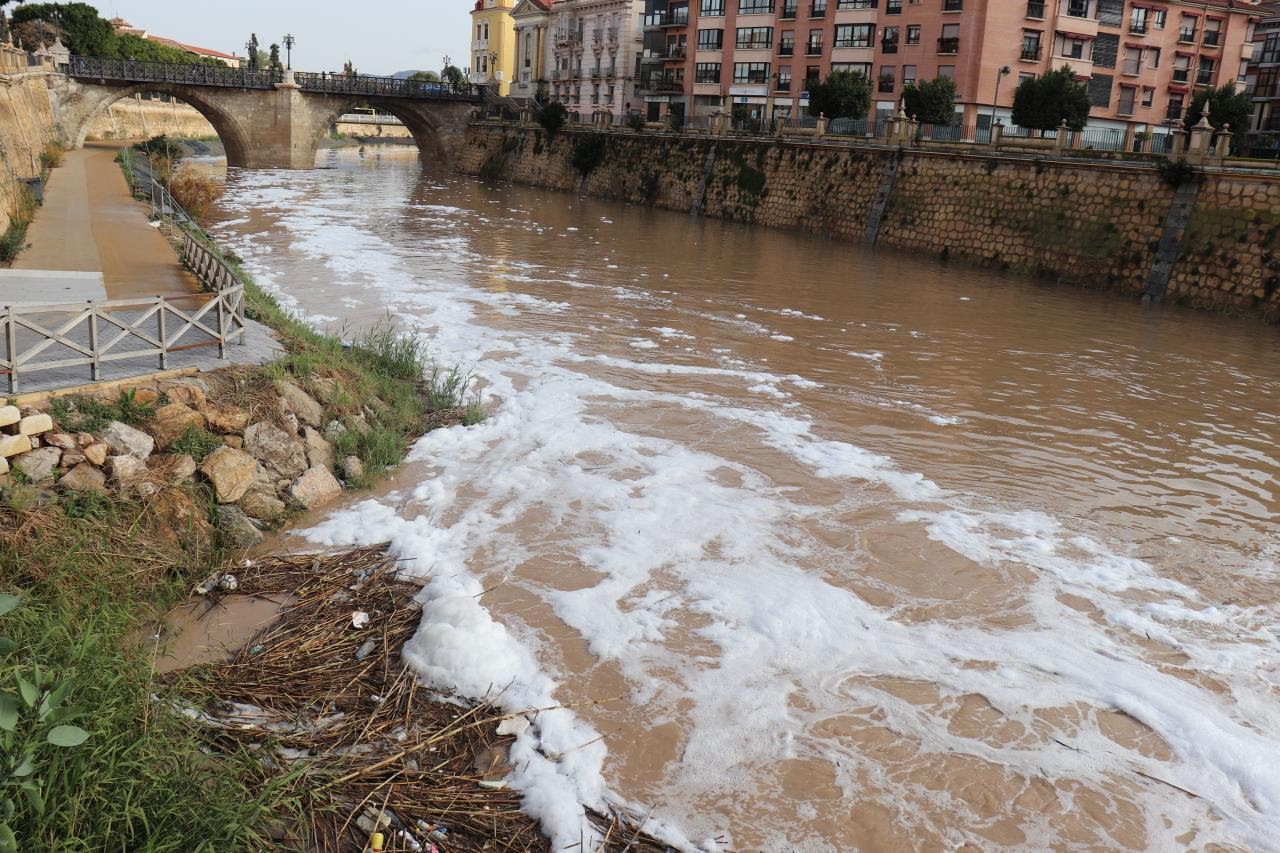 Espumas de nuevo, hoy, en el río Segura a su paso por la ciudad de Murcia. Imagen: Huermur