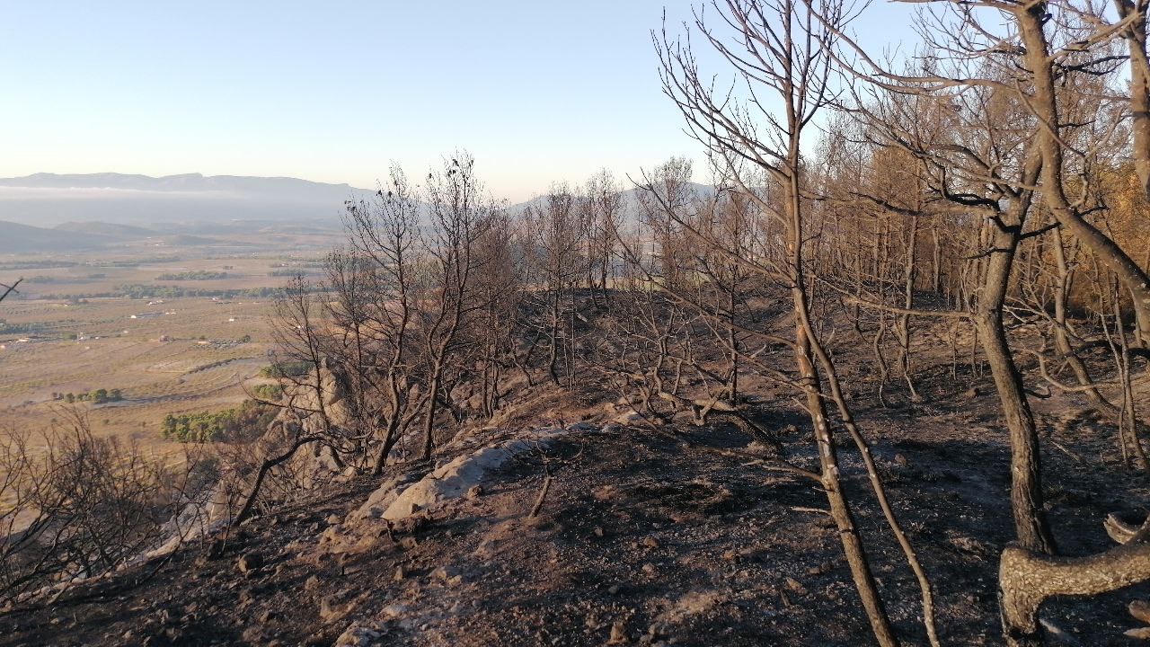 Aspecto de la zona del incendio tomadas esta mañana por agente medioambiental de la Dirección General del Medio Natural. Imágenes: 112