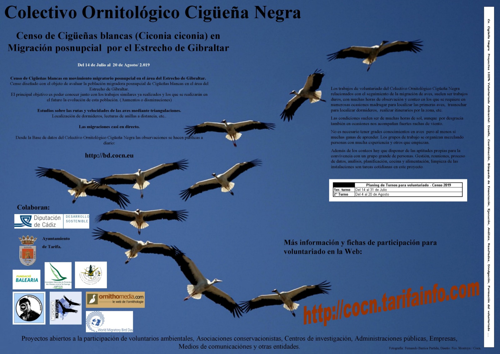 Cartel de Censo de cigüeñas blancas en migración postnupcial de COCN