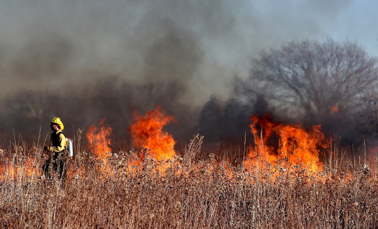 Los vientos secos y las altas temperaturas favorecidas por el cambio climático fomentan el inicio y la propagación de los grandes incendios forestales.  Imagen: Pixabay