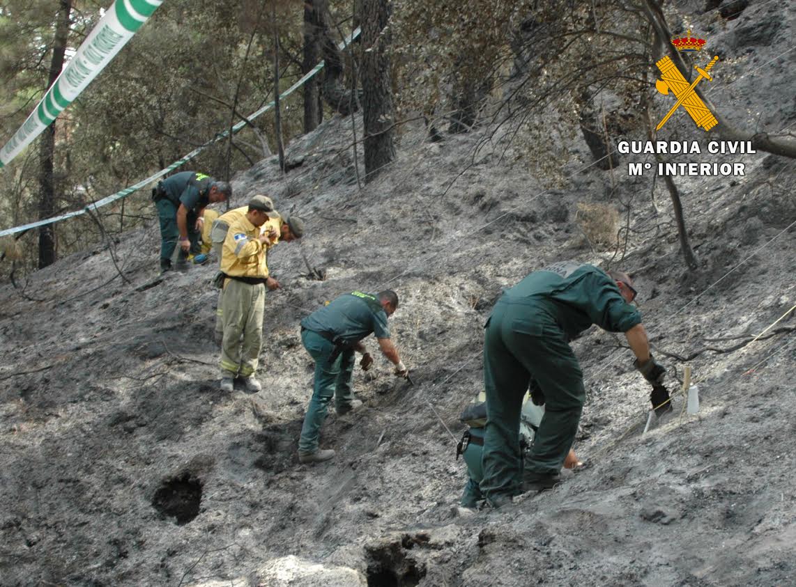 Toma de muestras en el incendio forestal cometido en el  término municipal de Yeste (Albacete) en el mes de agosto de 2019. Imagen: Seprona