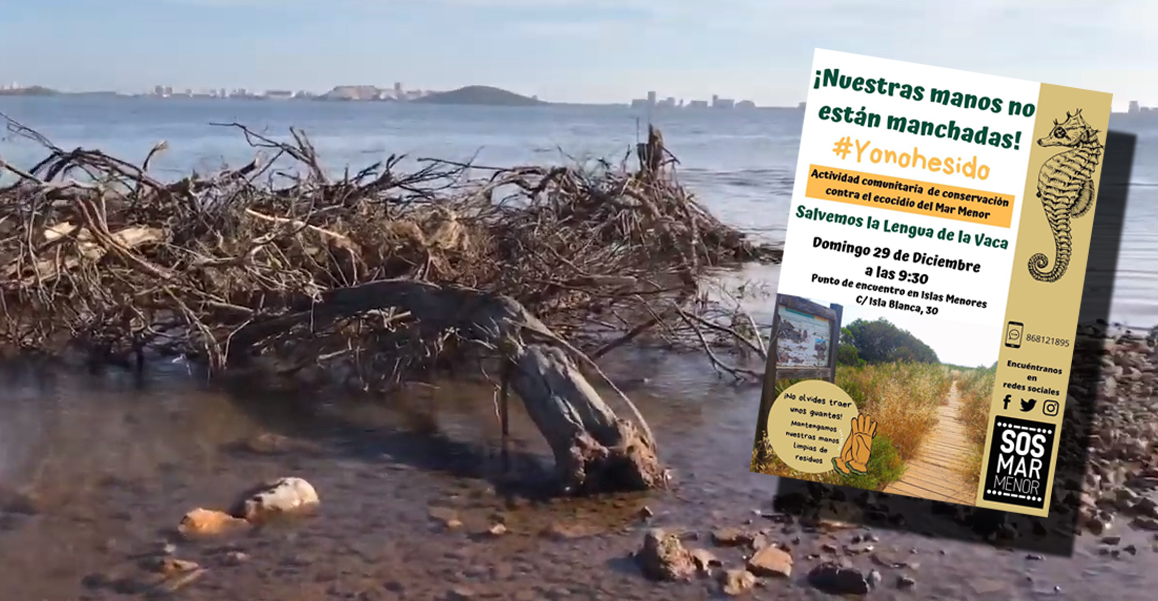 Estado de la zona (imagen extraída del vídeo elaborado por SOS Mar Menor). A la derecha, el cartel anunciando la actividad reivindicativa