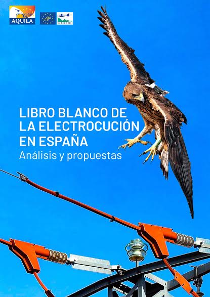 Portada del Libro Blanco de la Electrocución en España