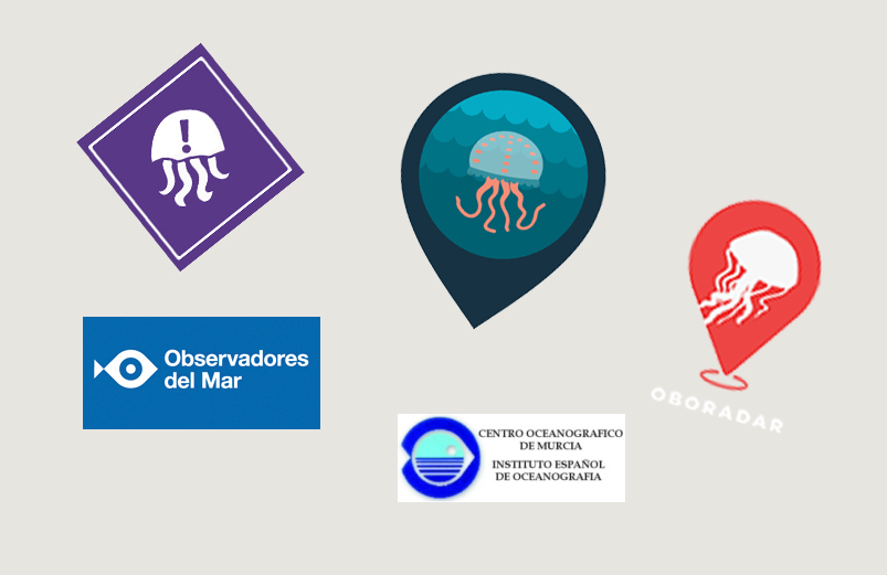 Logotipos de varias de las apps o webs sobre avistamientos de medusas.