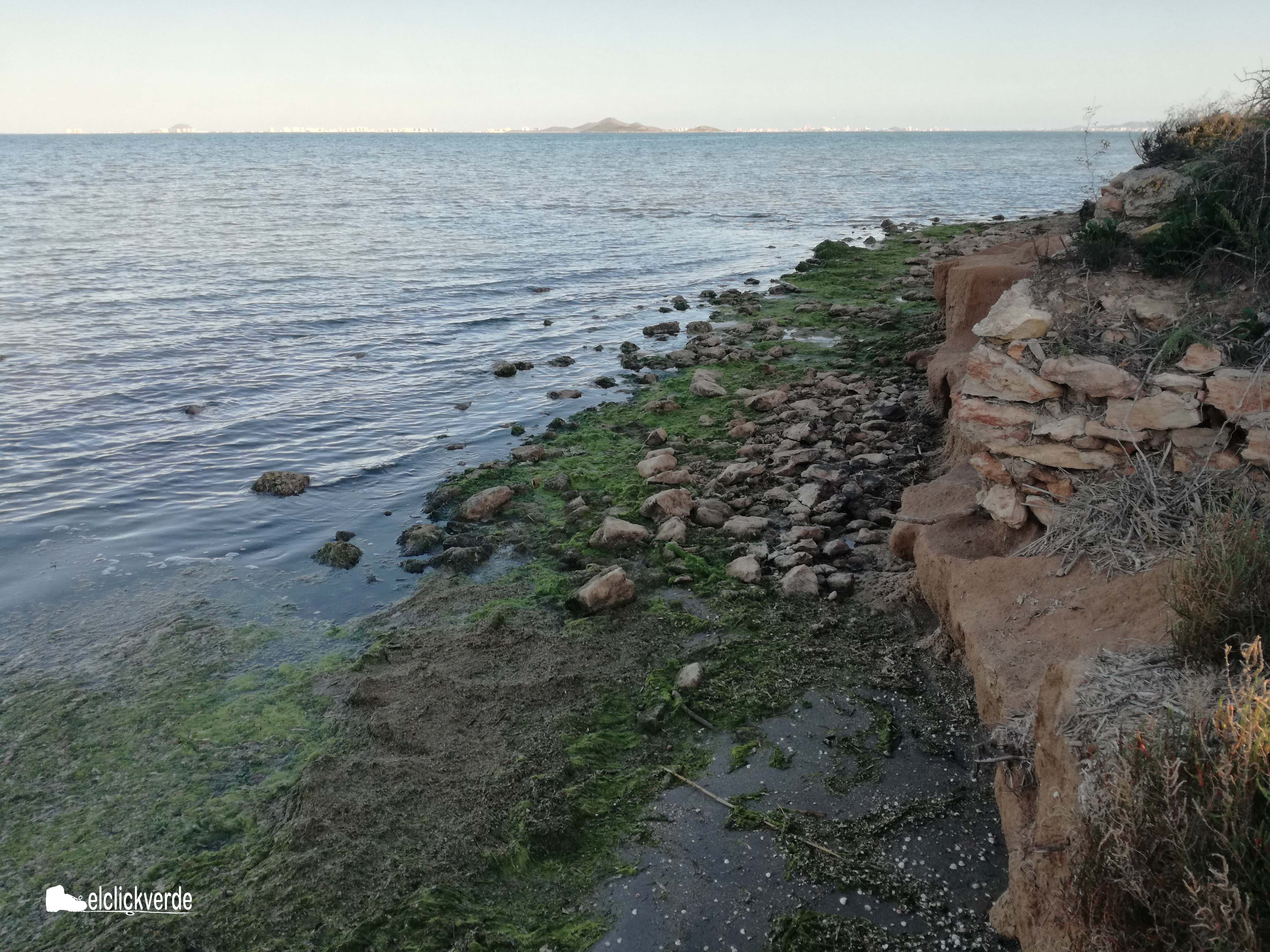 Imagen de archivo, del pasado febrero, del estado del Mar Menor cerca de la salida de la rambla del Albujón
