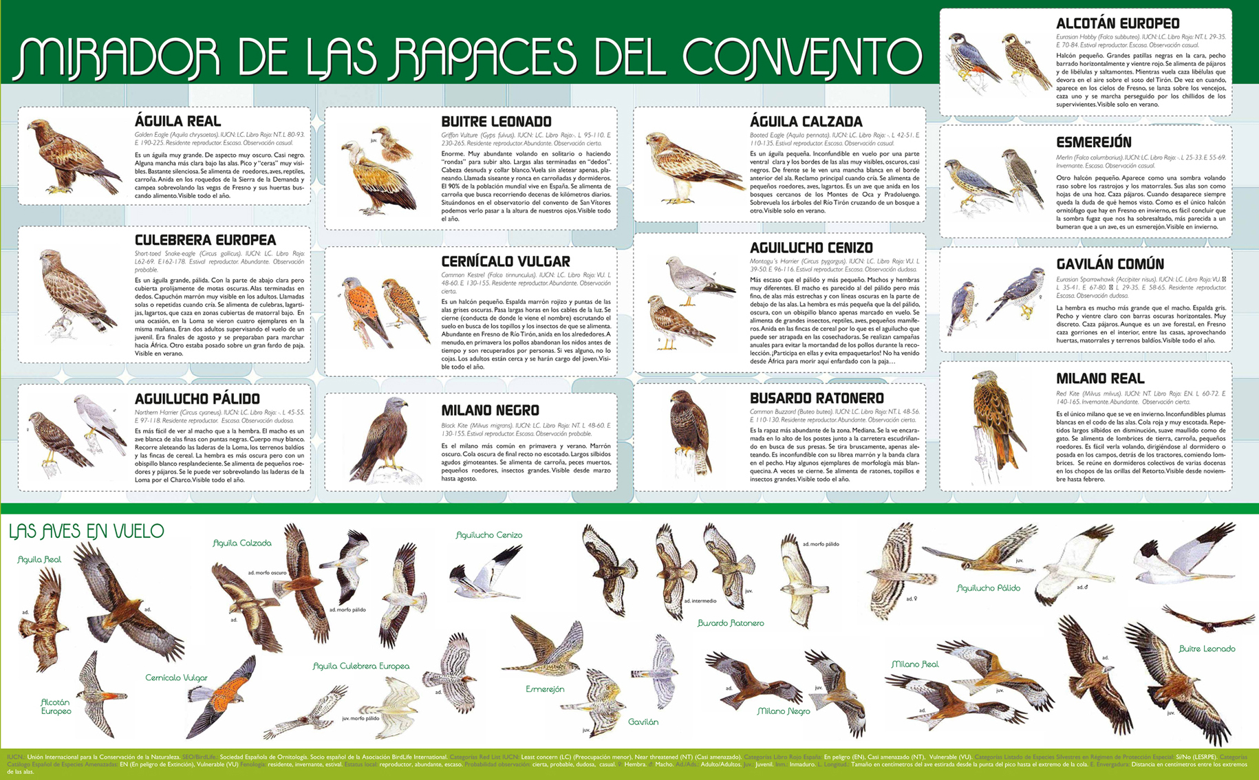 Pequeña guía de aves de la zona, ilustrada por Juan Varela Simó