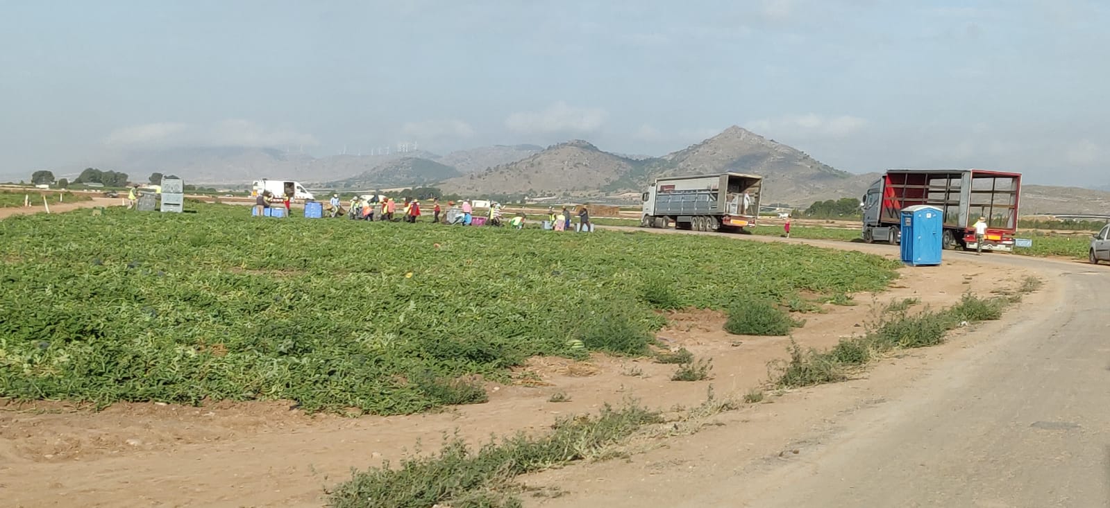 La invasión de residuos de plástico de uso agrícola es otro de los motivos de las quejas vecinales en Yecla. Imagen: Plataforma Ciudadana Salvemos el Arabí y Comarca