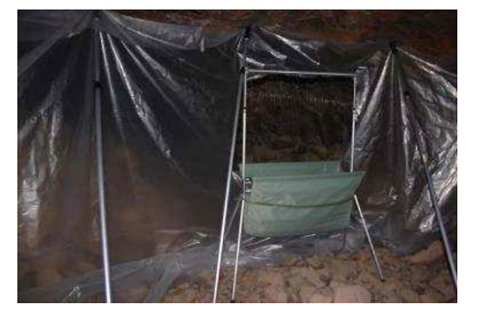 Trampa arpa para capturar murciélagos, instalada en Minado de Carrascoy. Imagen: CARM