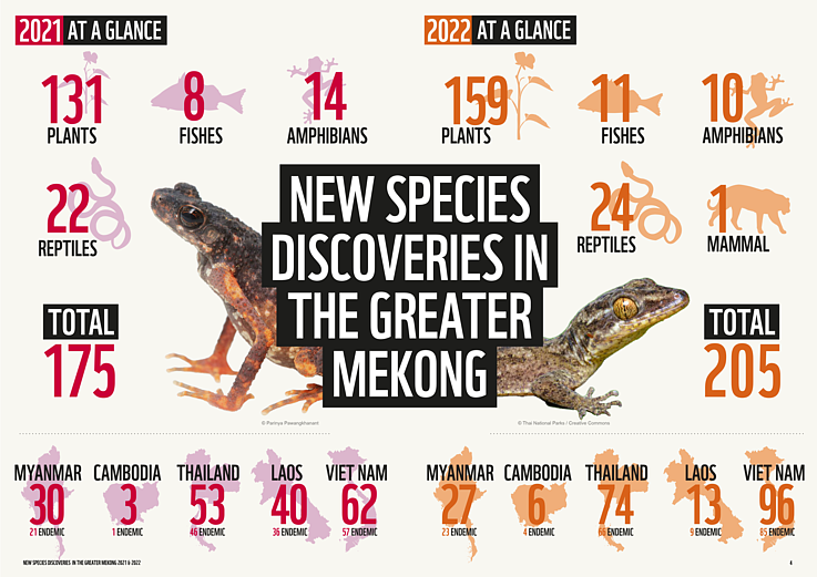 Infografía resumen de las especies halladas, del informe de WWF