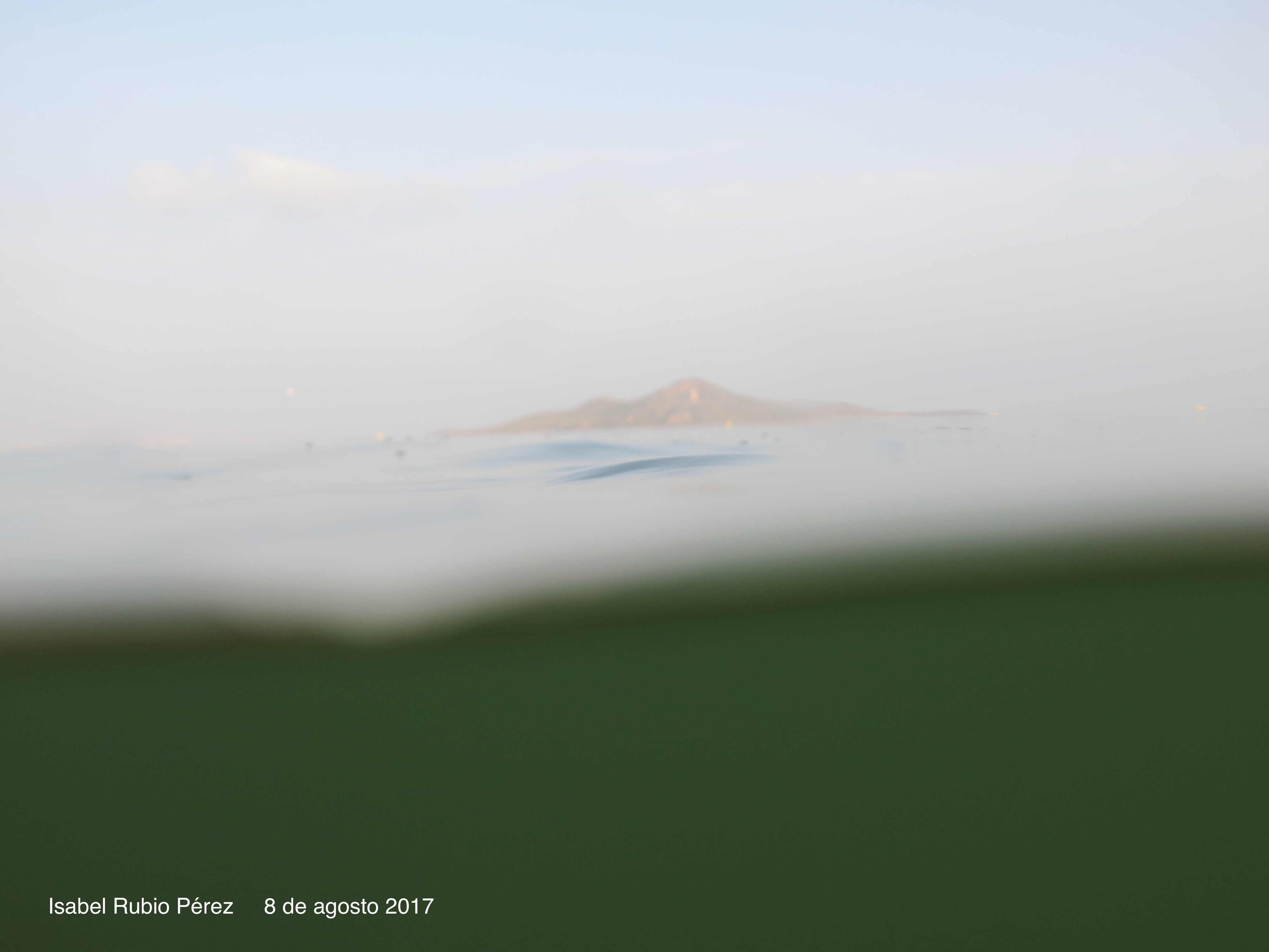 Imagen del agua aportada por Isabel Rubio, de la plataforma Pacto por el Mar Menor