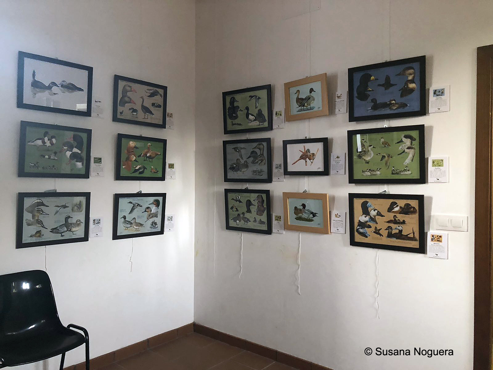 Una esquina llena de fotos en la exposición que ahora mismo hay en la EOT. Imagen: Susana Noguera