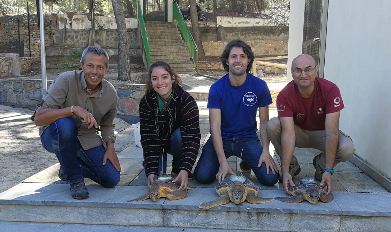 Personal de la Fundación Oceanogràfic, la UPV y del Centro de Recuperación de Fauna Silvestre de El Valle que han realizado el marcaje. Imagen: Oceanogràfic