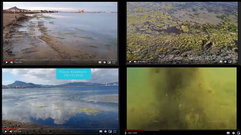 Imágenes del vídeo presentado (algunas cedidas por Salvemos el Mar Menor)