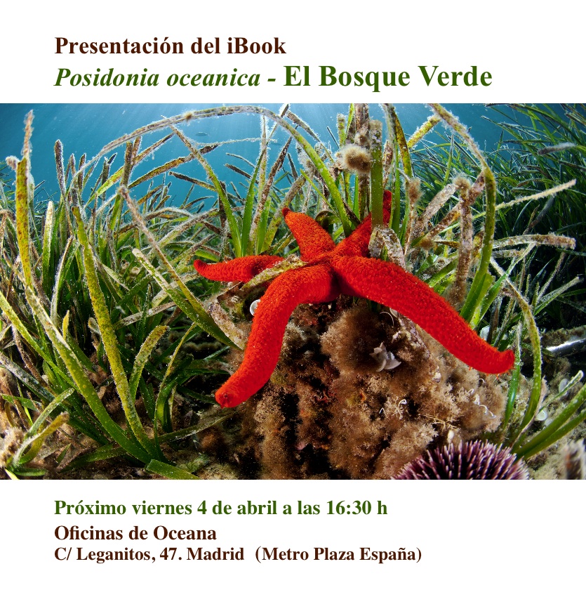 Presentación del ibook sobre Posidonia oceanica