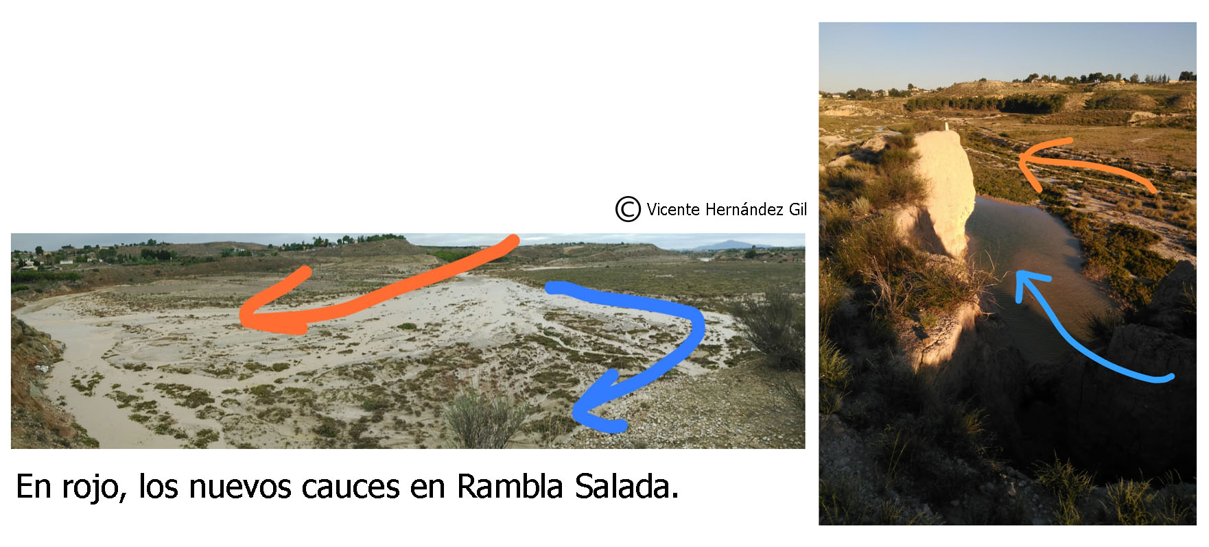 A la izquierda, la imagen de la curva socavada por el nuevo cauce (en rojo). A la derecha se aprecia el talud -en las proximidades del aula de naturaleza-. La charca es lo que queda del viejo cauce, cuya corriente lamía la base, con riesgo de perderse por la erosión. Imágenes elaboradas por Vicente Hernández Gil
