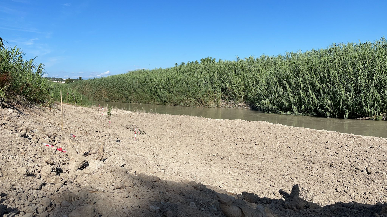 Playa fluvial de Las Peñetas, una zona tradicional de uso público del río Segura, ya recuperada. Imagen: ANSE