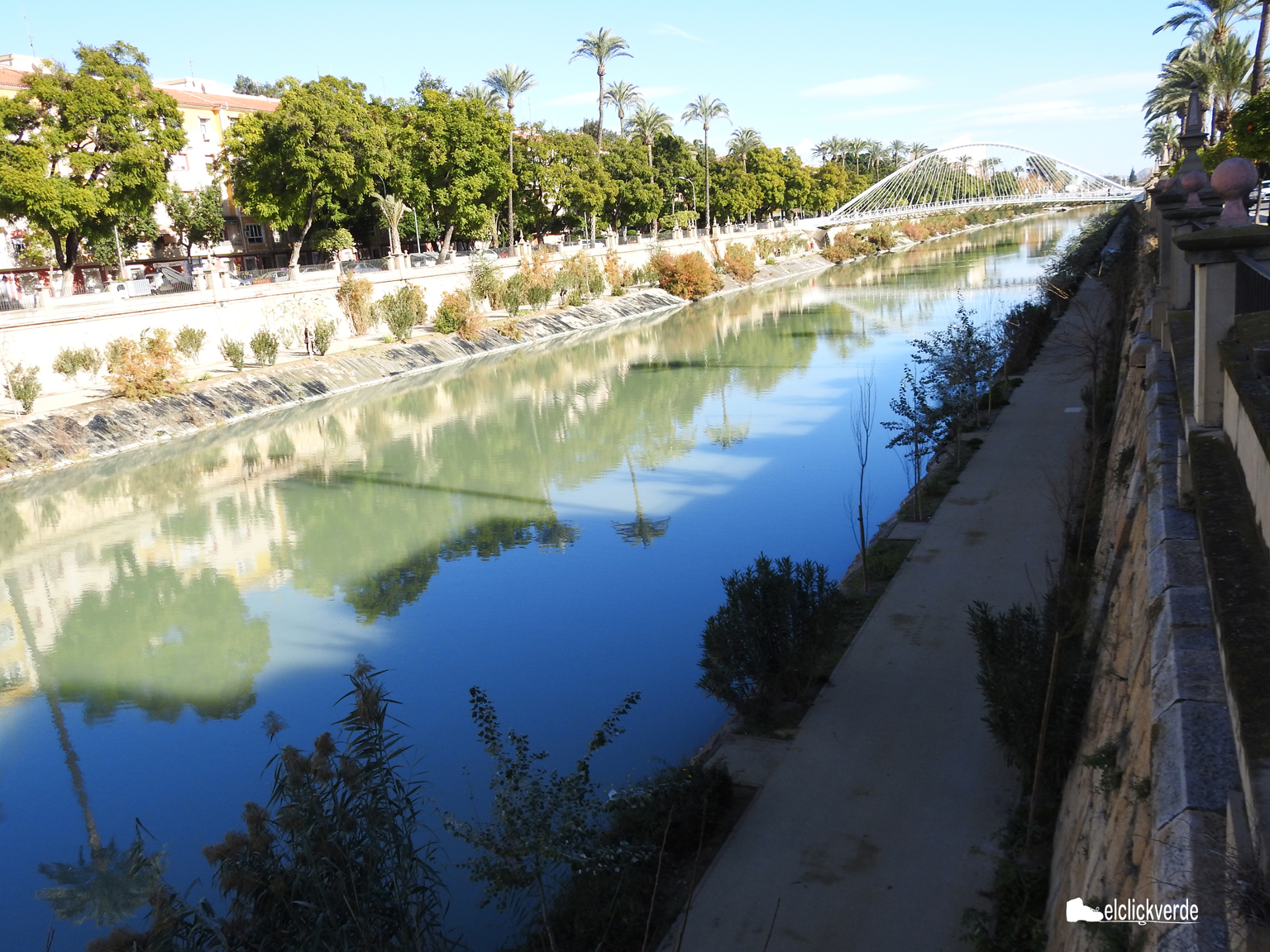 El río Segura a su paso por la capital. La entidad lamenta que "el Plan centra las medidas en el ámbito urbano "