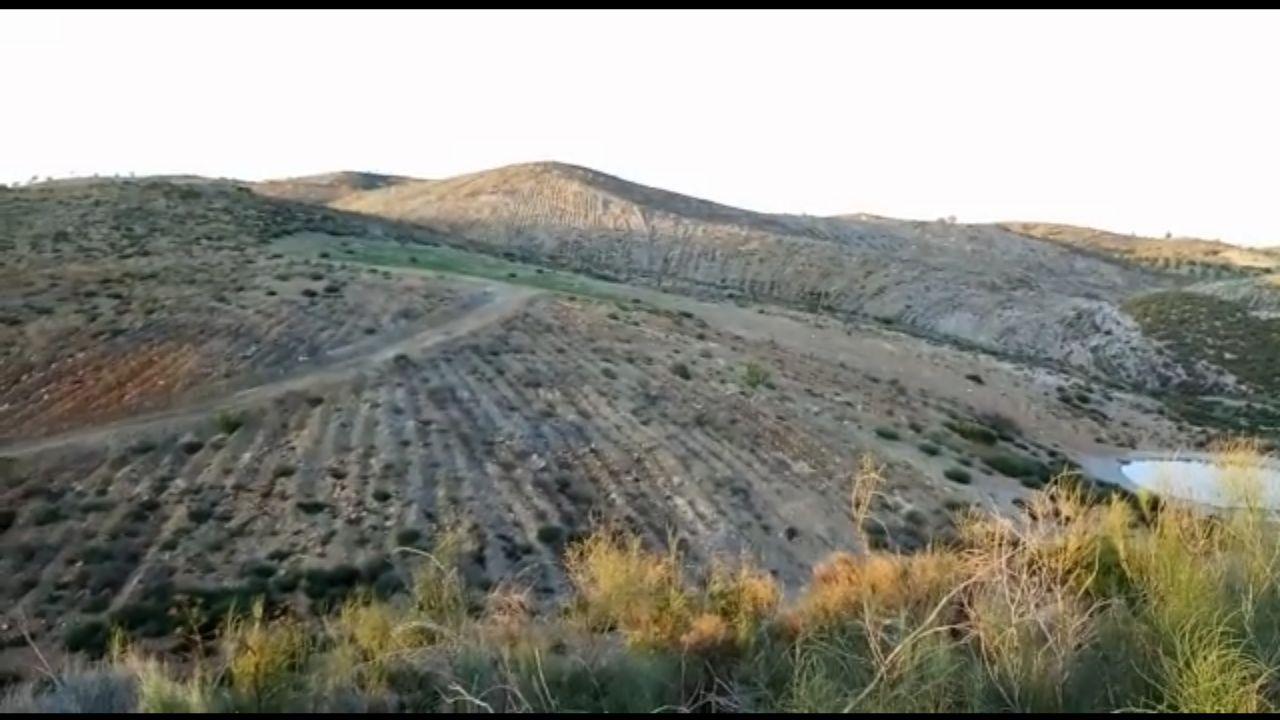 Roturación en Lorca denunciada por Ecologistas en Acción. Imagen: Ecologistas en Acción