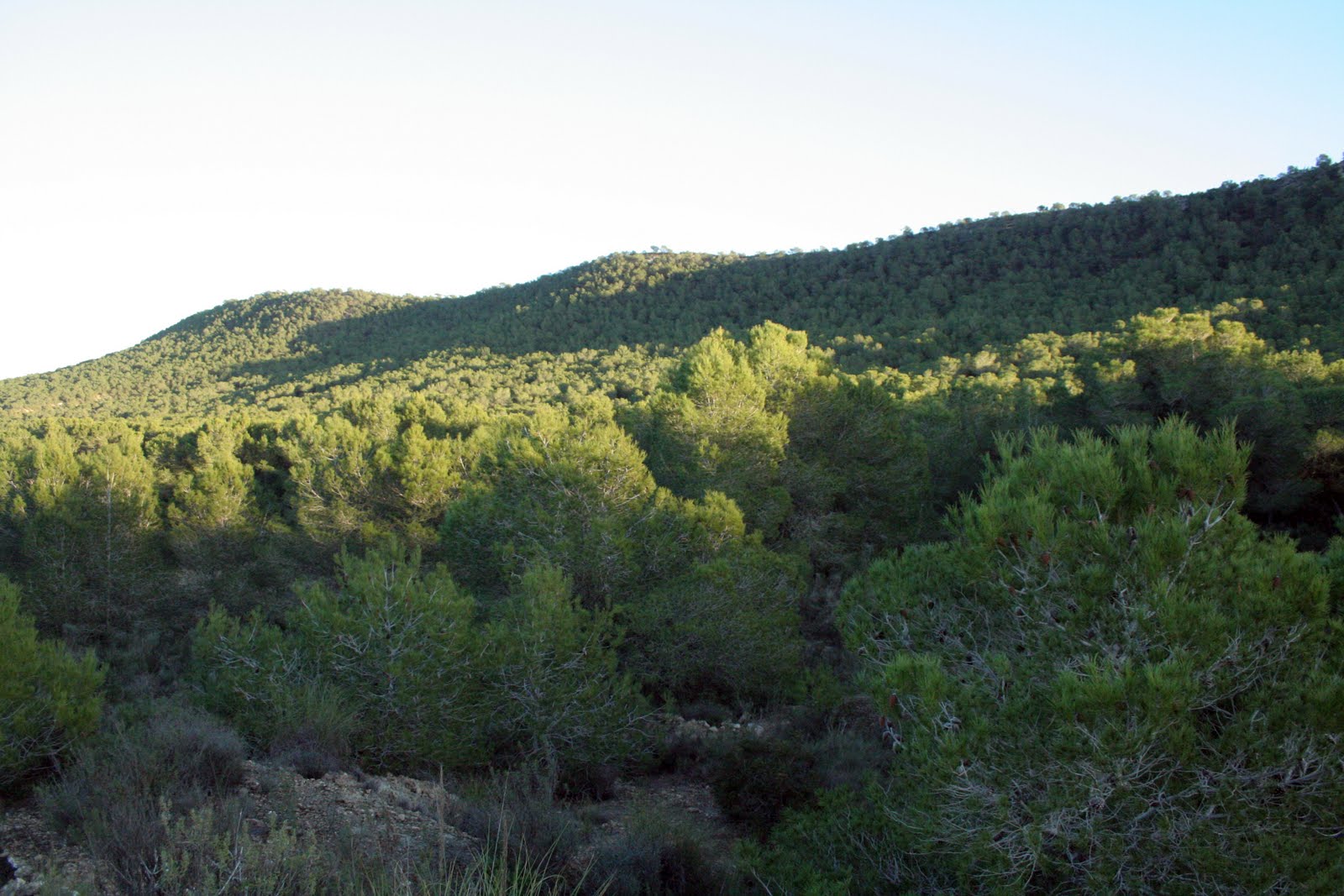 Sierra de Escalona. Imagen de archivo de la Generalitat Valenciana
