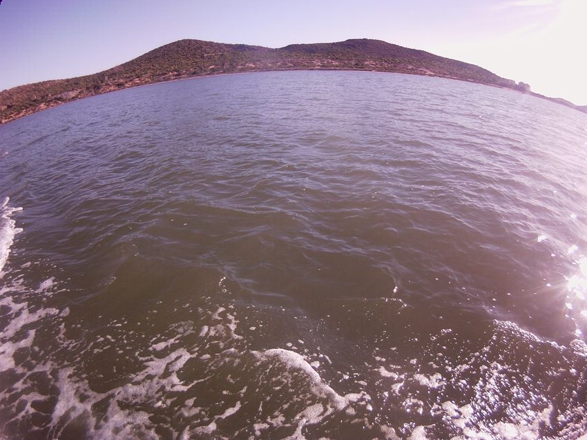 Sopa verde en el Mar Menor. Imagen de superficie, tomada el 1 de abril por Adrián Aguilar 