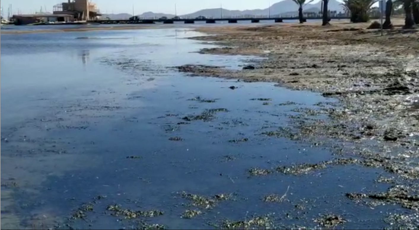 Imagen extraída del vídeo elaborado por la Plataforma para la Recuperación de la Playa de Los Urrutias y su Entorno