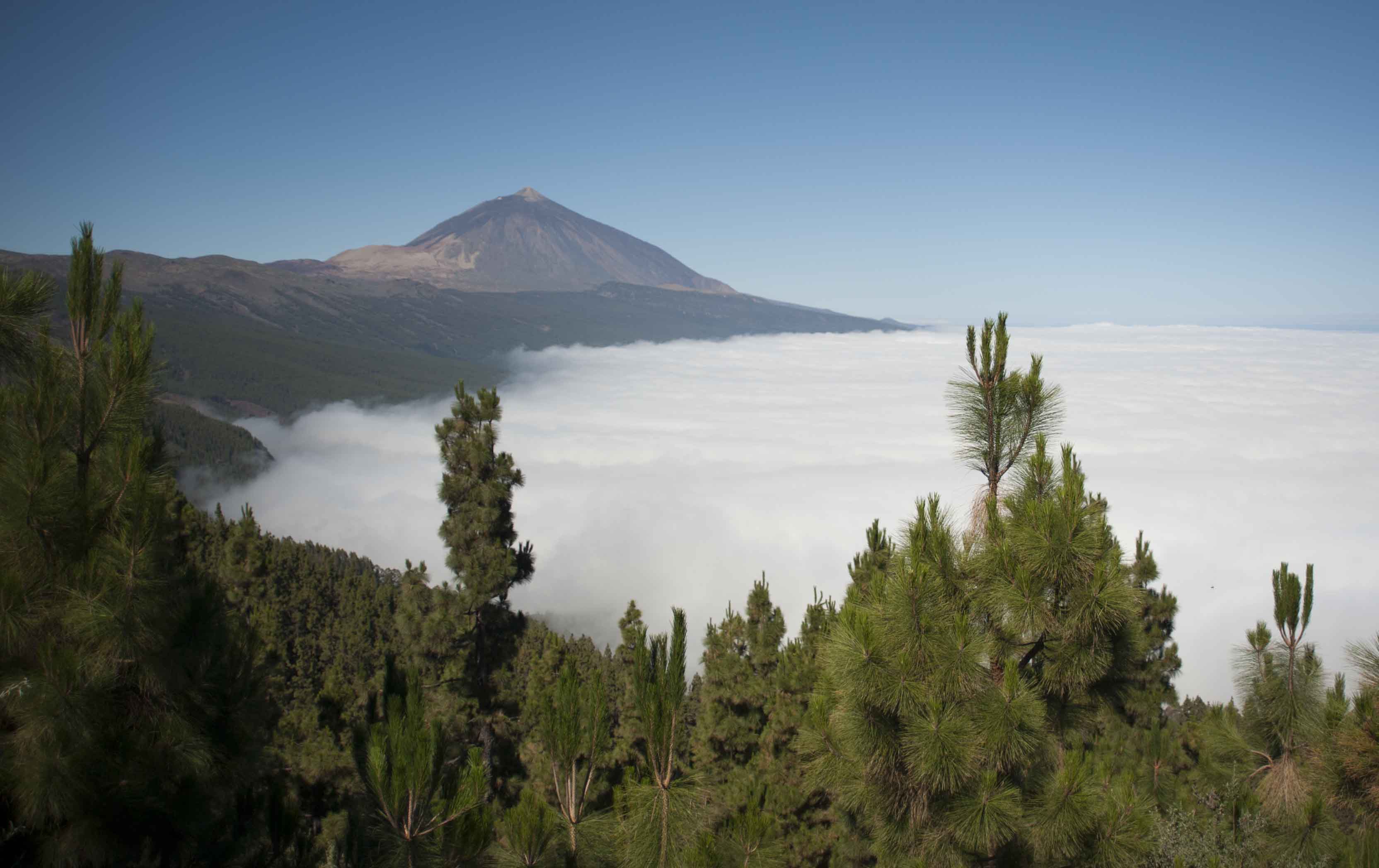 Parque Nacional del Teide, en la isla canaria de Tenerife. Imagen: María González / CSIC Comunicación