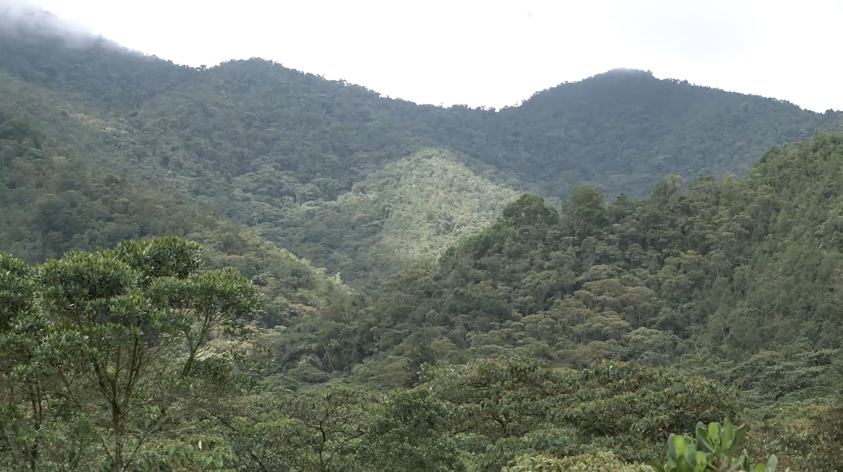 Paisajes de la Reserva Forestal Protectora Regional Alto de San Miguel. Gobierno de Corantioquia