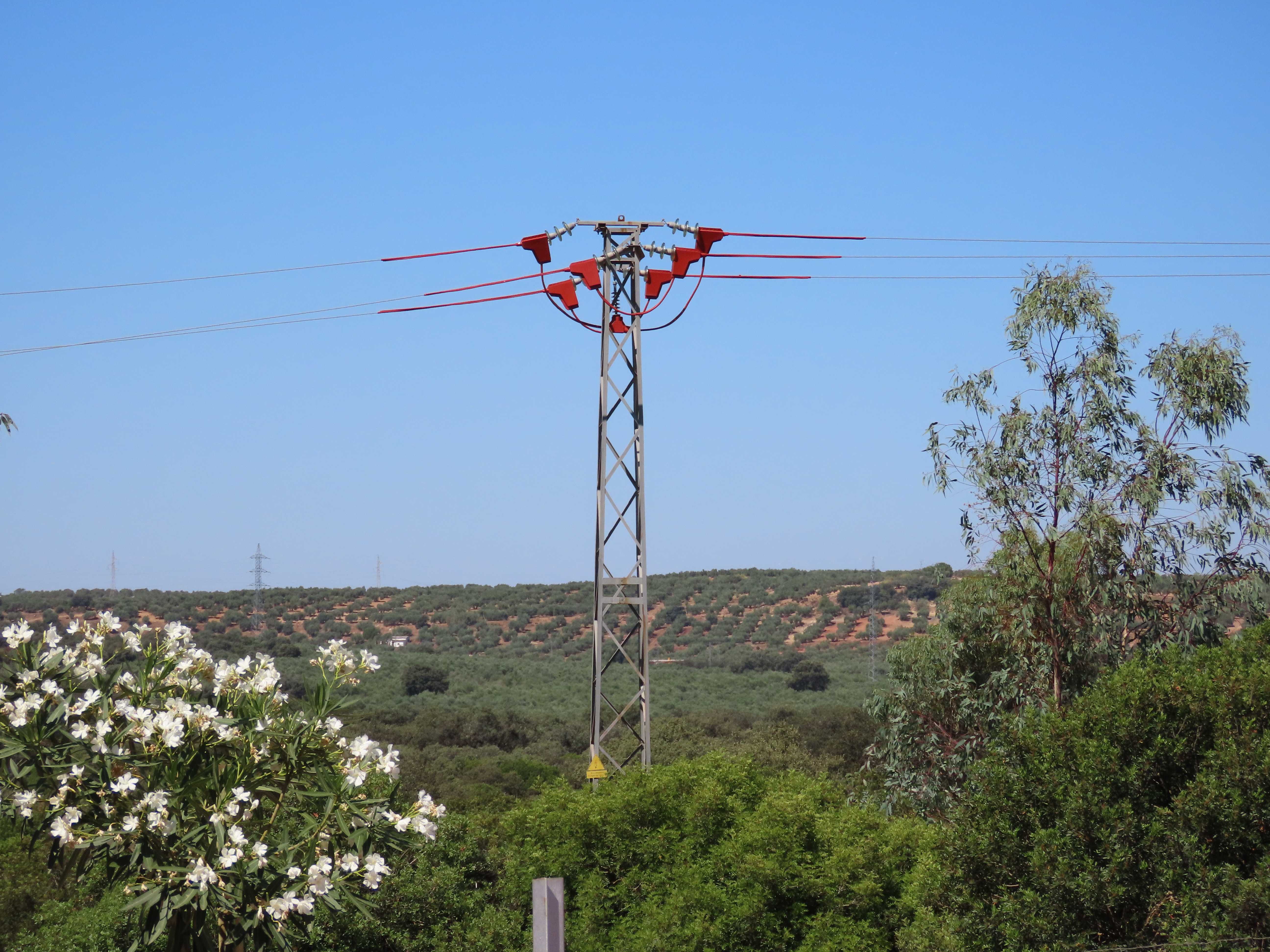 Uno de los apoyos, ya aislado, del tendido eléctrico corregido en la provincia de Jaén. Imagen: GREFA