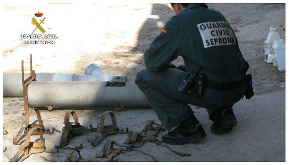 En la operación se han localizado elementos prohibidos para la caza como cepos y jaulas trampa. Imagen: Seprona
