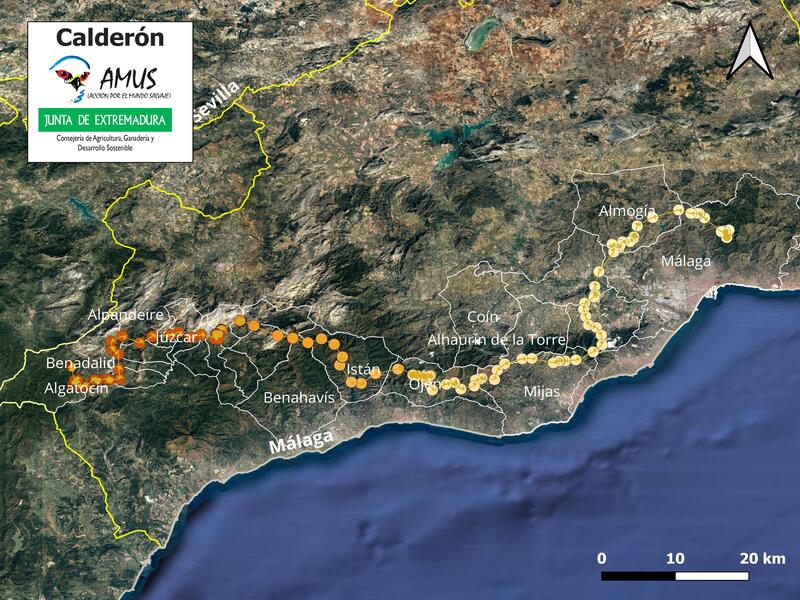 Desplazamientos y zona en la que se encuentra Calderón, a muchos  kilómetros del lugar en el que se liberó. Imagen: AMUS