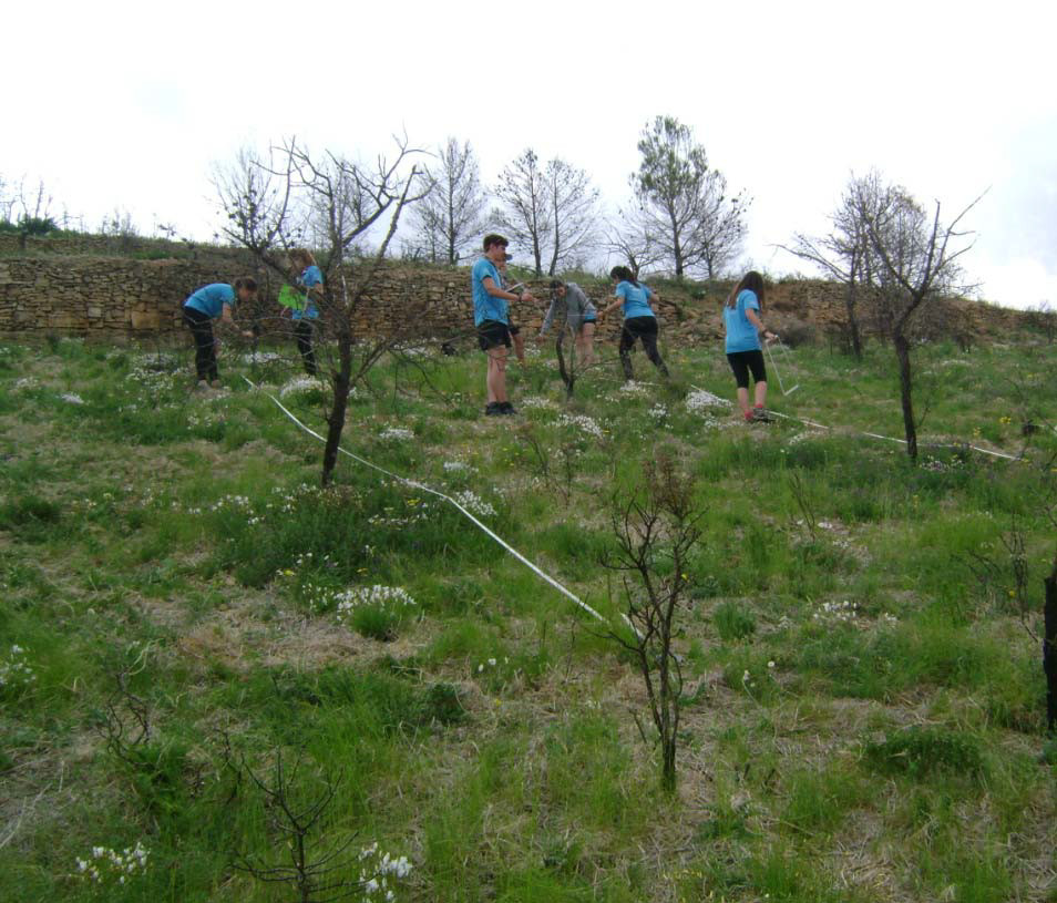 Voluntarios participantes en el proyecto piloto. Imagen: Generalitat Valenciana